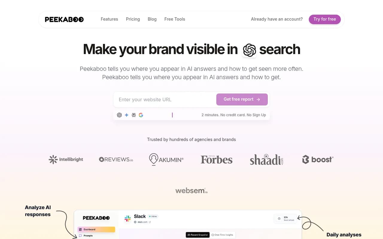Screenshot of AI Peekaboo website