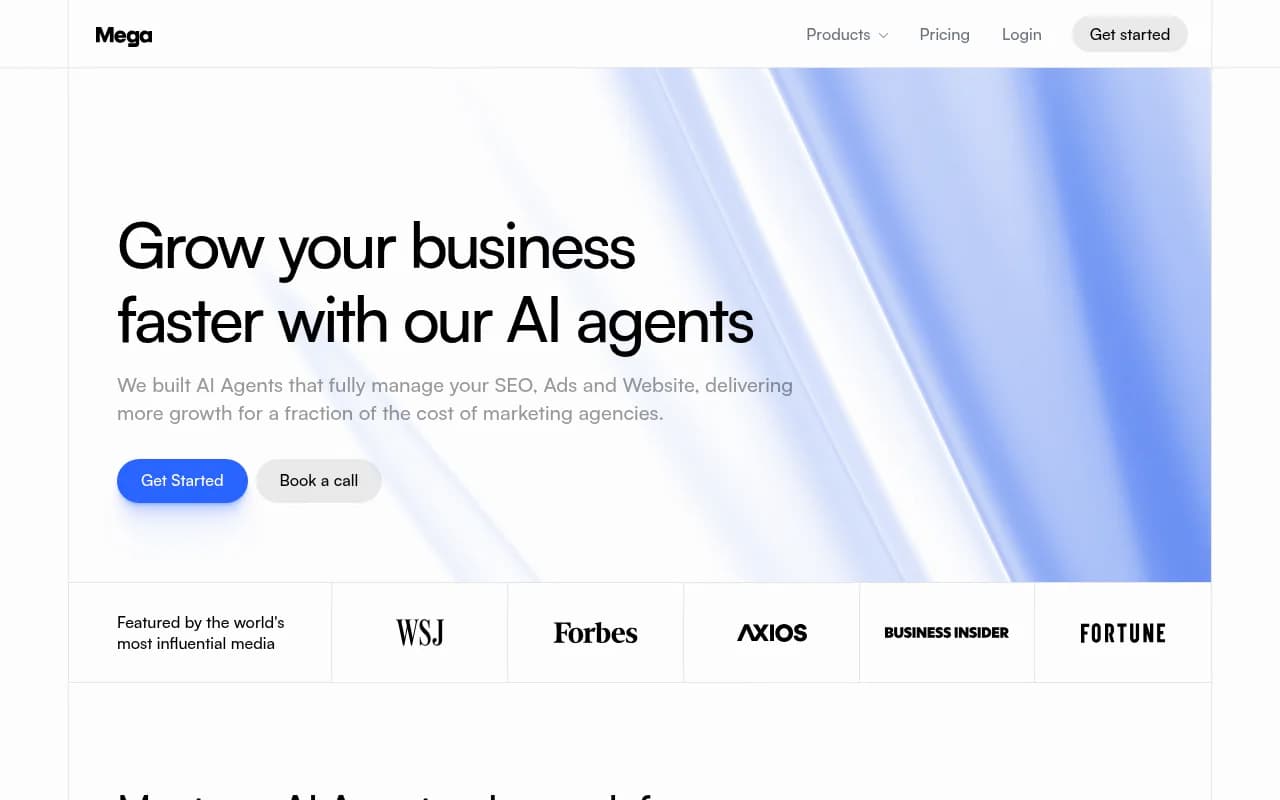 Screenshot of MEGA SEO website