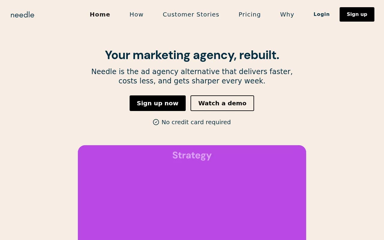 Screenshot of Needle website