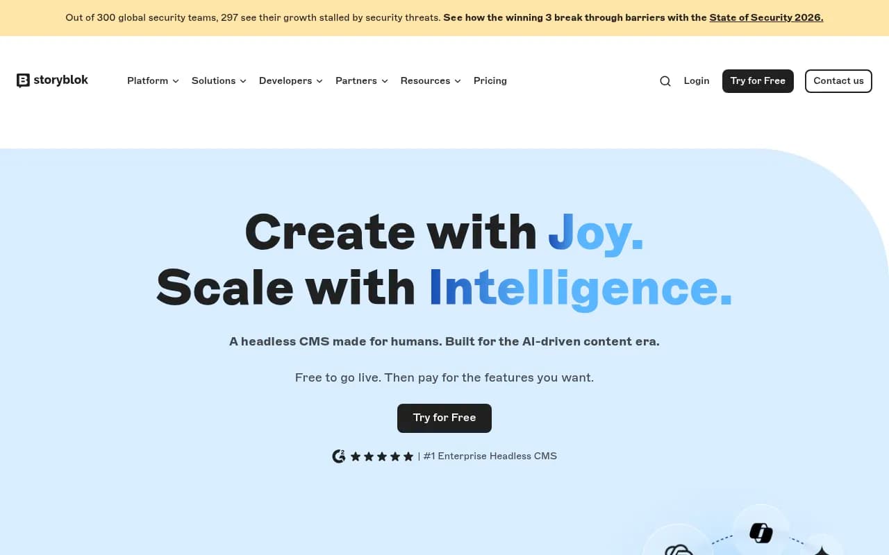 Screenshot of Storyblok website